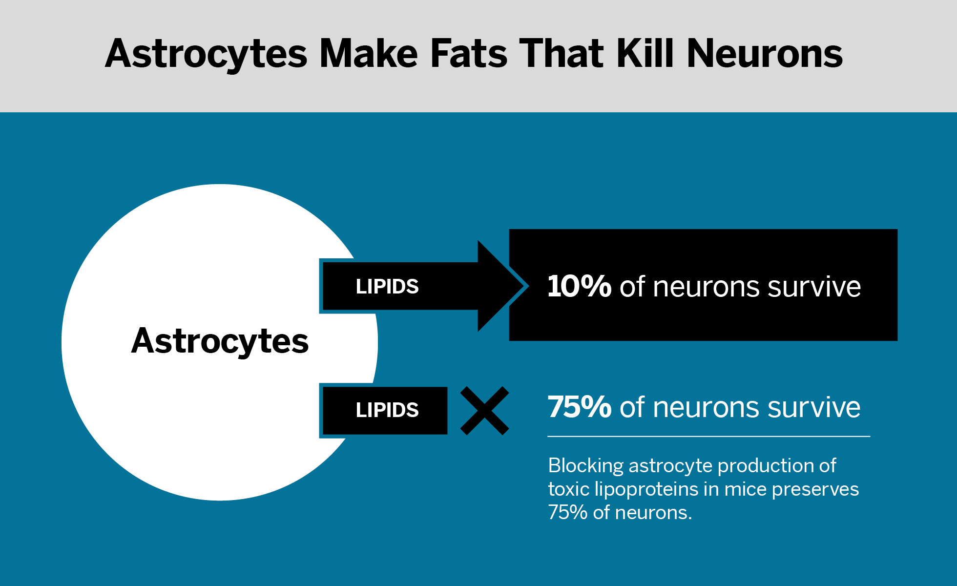 Why Do Brain Cells Die in Neurodegenerative Diseases? NYU Langone