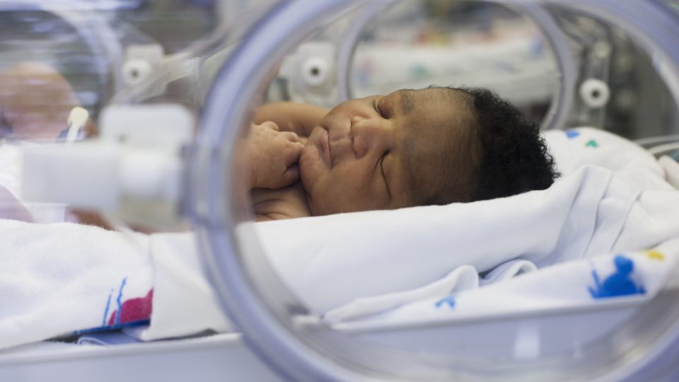 Baby Boy Lying in Hospital Incubator