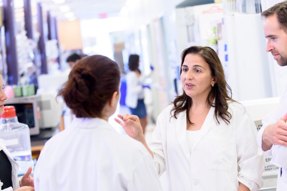 Dr. Eva M. Hernando-Monge Speaking with Colleagues in Lab