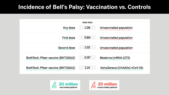 A large meta-analysis finds no association between COVID-19 vaccination status and an increased risk of Bell’s palsy.