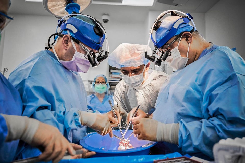 Doctors wearing masks and surgical gowns surrounding a pig heart and using surgical tools to prepare for xenotransplantation