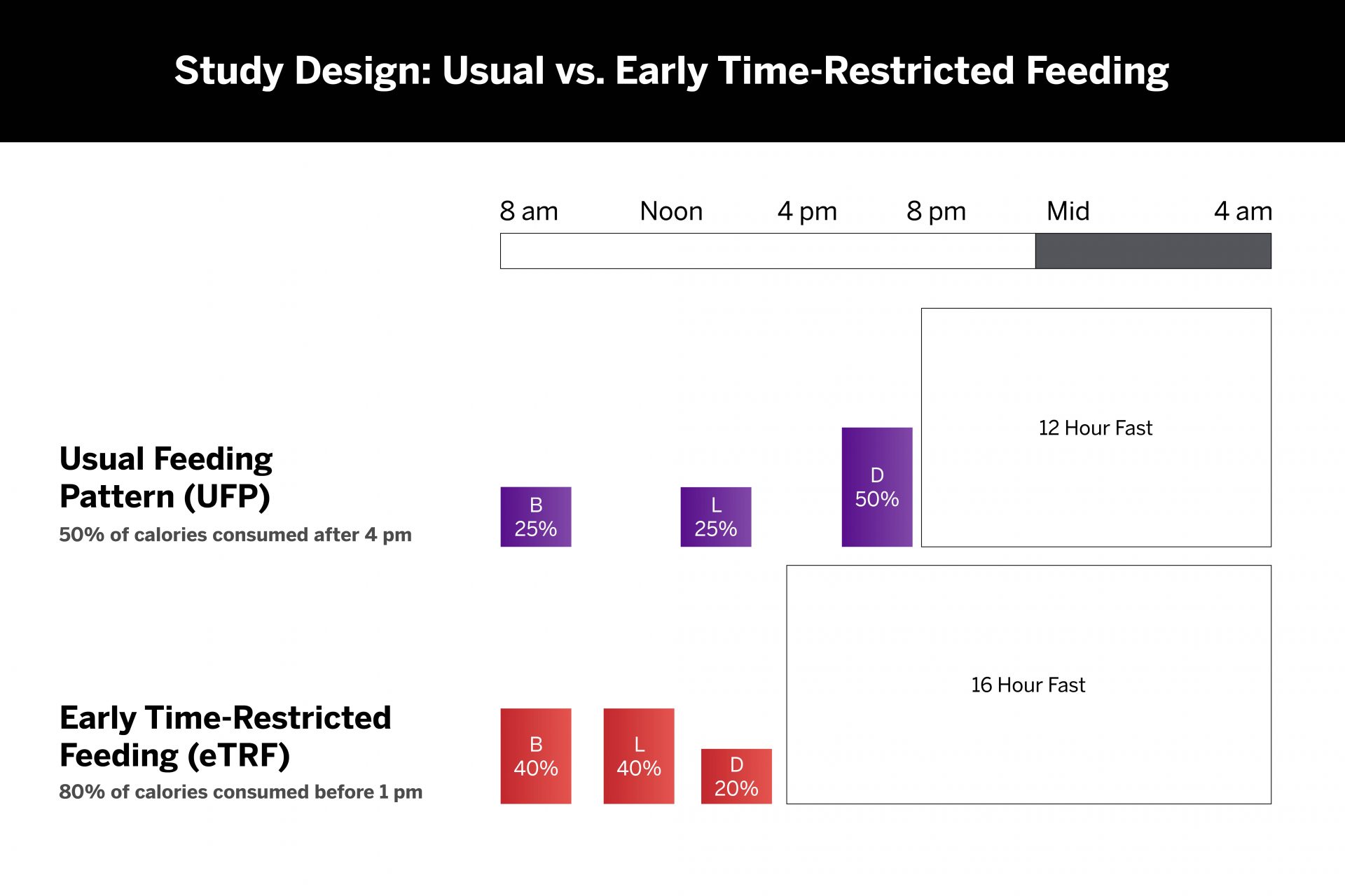 In the usual feeding pattern (UFP), 50 percent of calories are consumed after 4 pm. In contrast, early time-restricted feeding (eTRF) is a form of intermittent fasting in which 80 percent of calories are consumed before 1 pm.