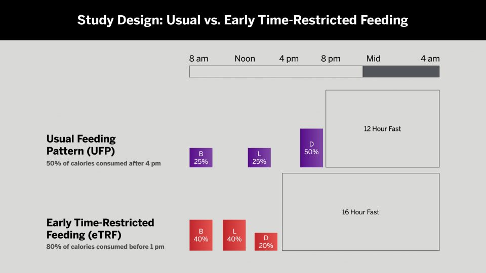 Study Design: Usual vs. Early Time Restricted Feeding Pattern