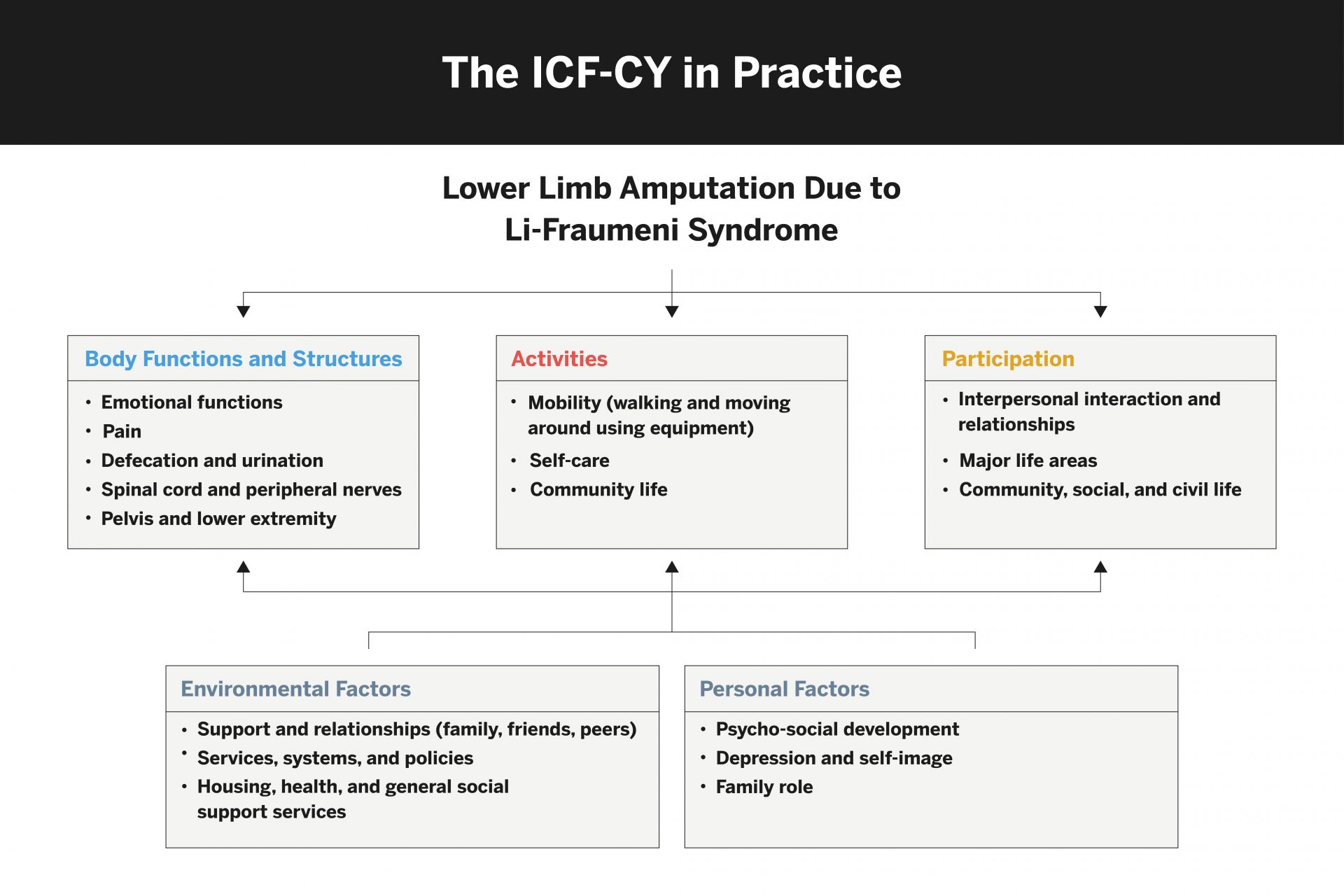 The ICF-CY in Practice
