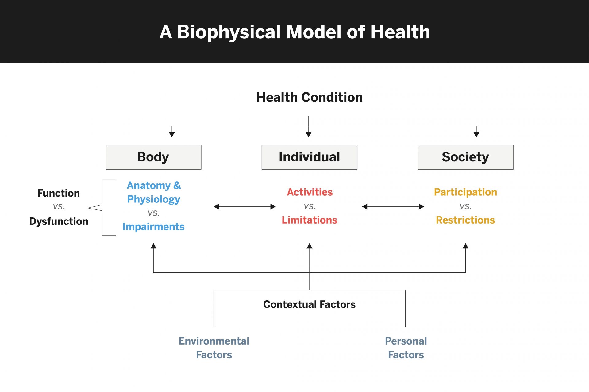A Biophysical Model of Health
