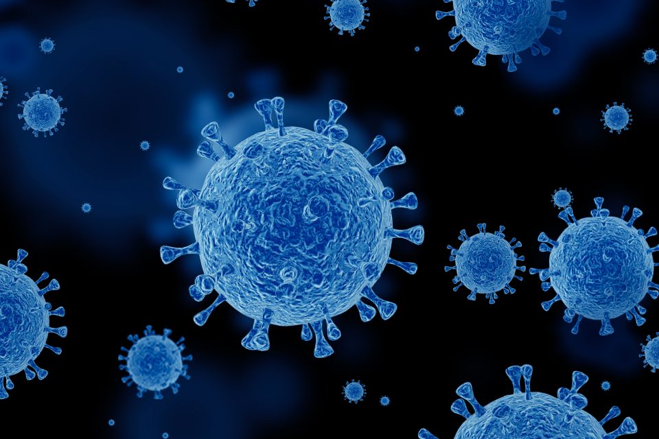 Illustration of coronavirus cells