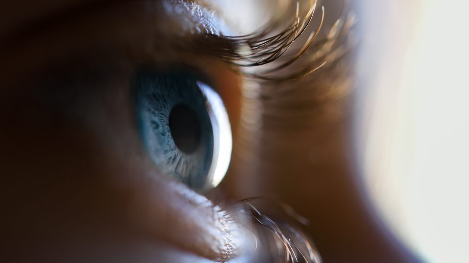 Close-up side view of human eye