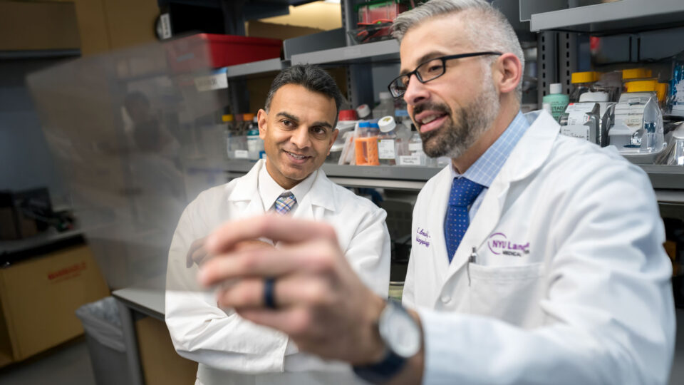 Milan R. Amin, MD, and Ryan C. Branski, PhD in the Laboratory.