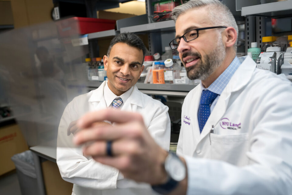 Milan R. Amin, MD, and Ryan C. Branski, PhD in the Laboratory.
