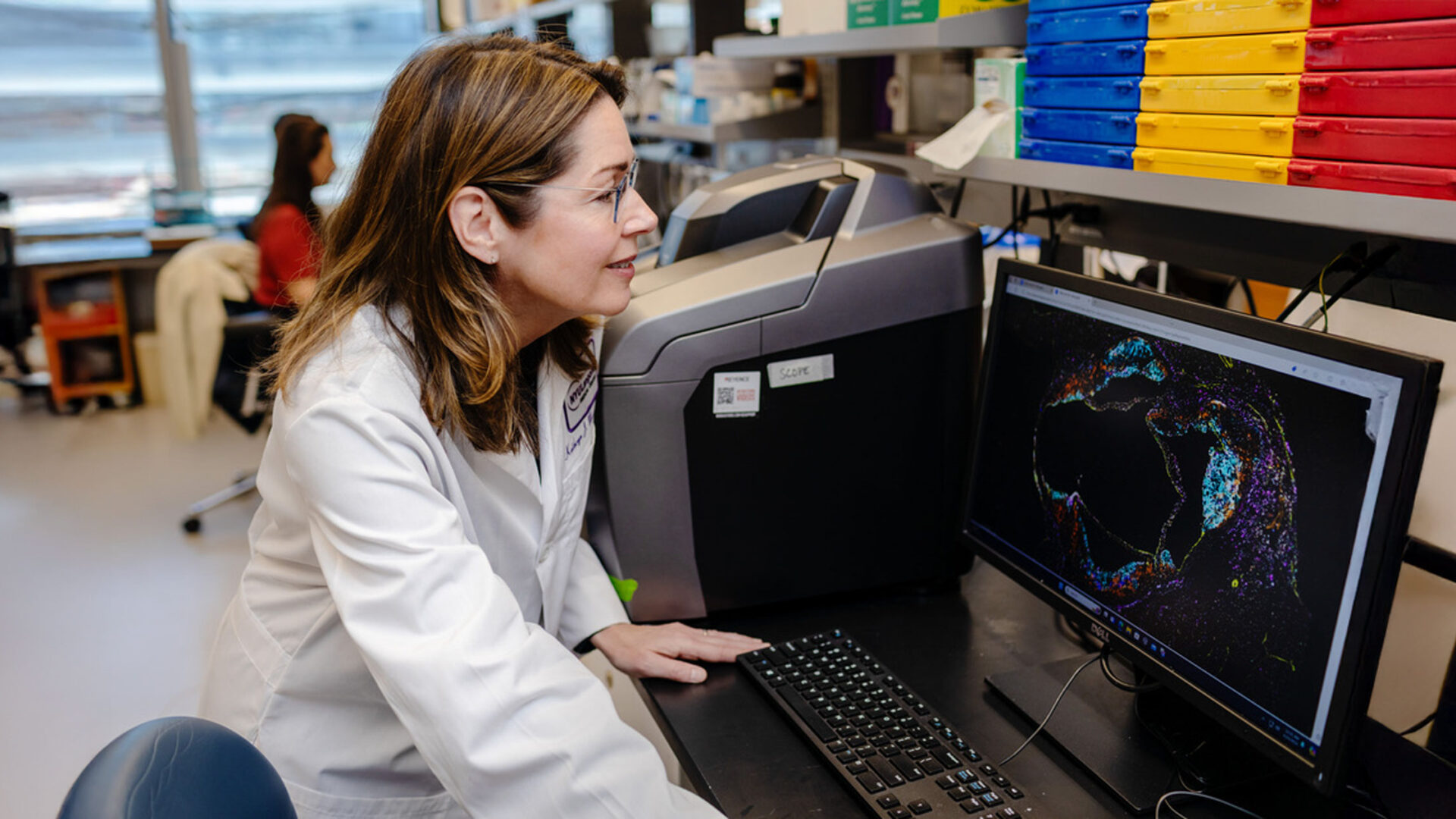 Kathryn J. Moore, PhD. Source: NYU Langone Health