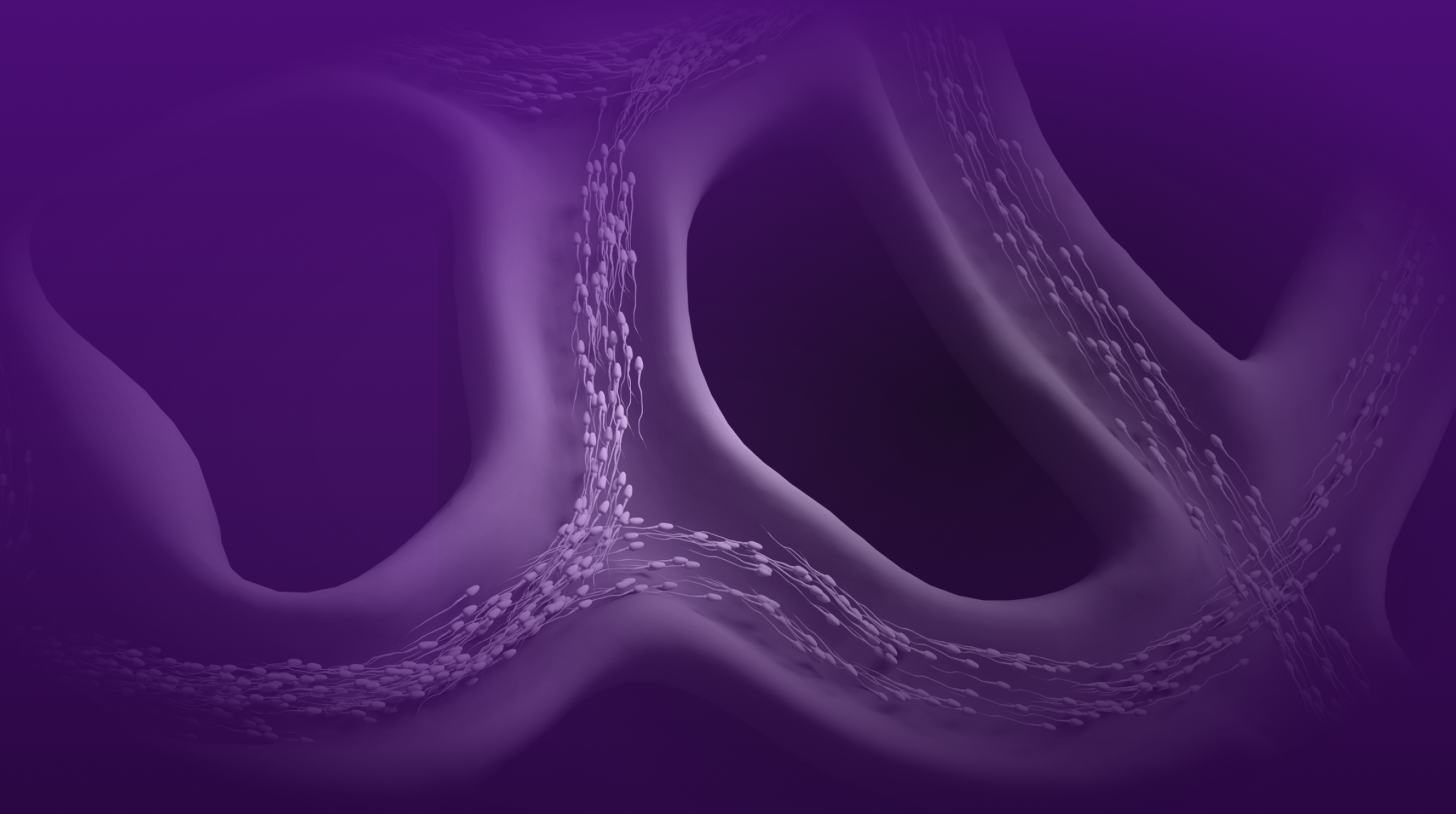 Valary Raup Oncofertility for Patients with Urologic Cancer - NYU Langone Health ...